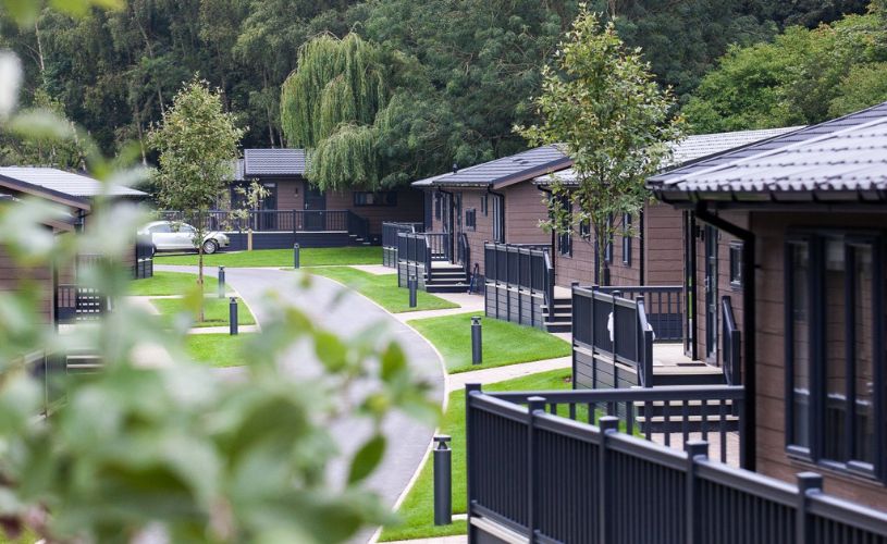 Lodges in the forest at Bath Mill Lodge Retreat
